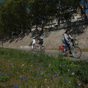 A vélo sur les Berges du Rhône © Jack Leone / Grand Lyon
