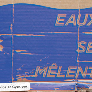 Biennale de Lyon - Art Contemporain 2019 "Là où les eaux se mêlent"