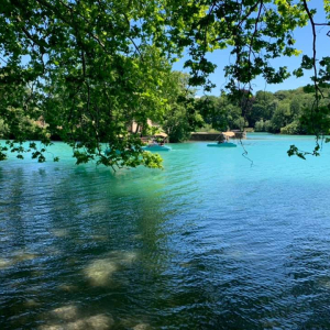 Sur le lac du Parc de la Tête d'Or © Carole Fournet